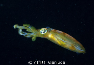 beautiful at night by Afflitti Gianluca 